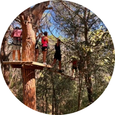 Fes l'activitat de un bosc vertical a Dosrius mentres dorms a les cabanyes de Cabanes Dosrius