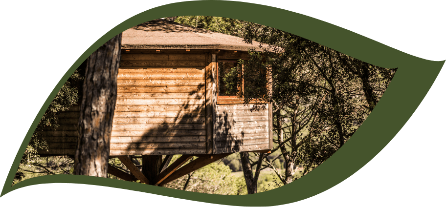 Cabana d'alt dels arbres per una estada màgica conectant amb la natura