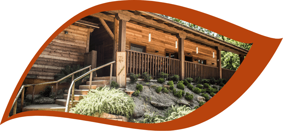 Entrada a la sala de fusta en el bosc per activitats de turisme actiu