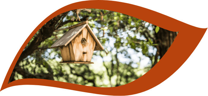Imatge amb forma de fulla amb una casa per als ocells en plena natura