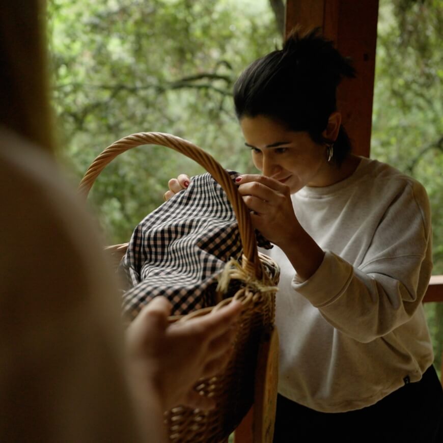 Dona jove obrint una cistella per esmorçar d'alt d'un arbre a una cabanya autèntica