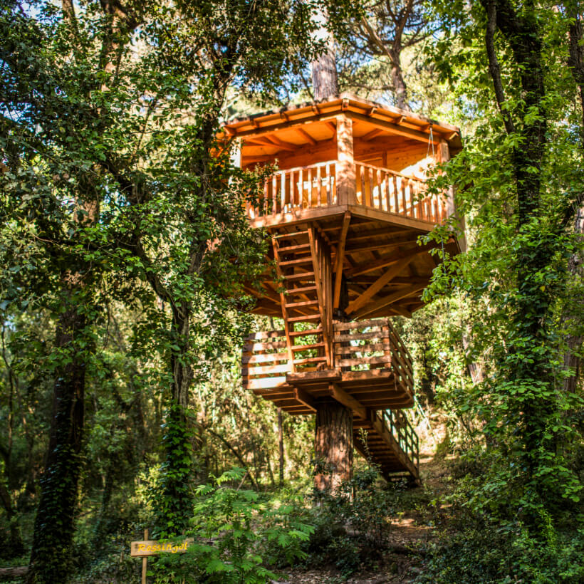 cabana als arbres Catalunya