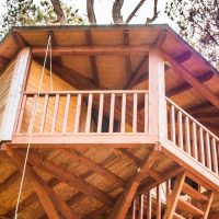 cabanya a un bosc de Catalunya