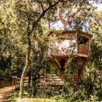 bosc Barcelona eco hotel singular