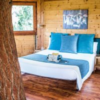 comode llit per dormir a un arbre