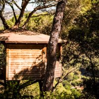 casa dalt del arbre al mig del bosc Catalunya