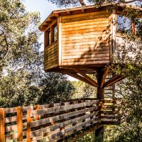 cabana a la copa del arbre en plena natura