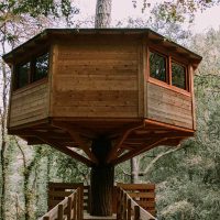 hotel en plena natura dalt del arbre