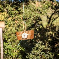 cistella de vímet al bosc Barcelona
