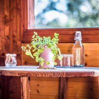 detalls de fusta escapada a la natura