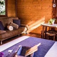 habitació de fusta per fer turisme a la natura