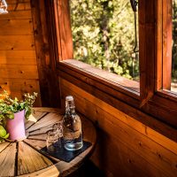 escapada rural amb vistes al bosc