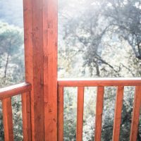 vistes al bosc desde la habitació de la cabana als arbres